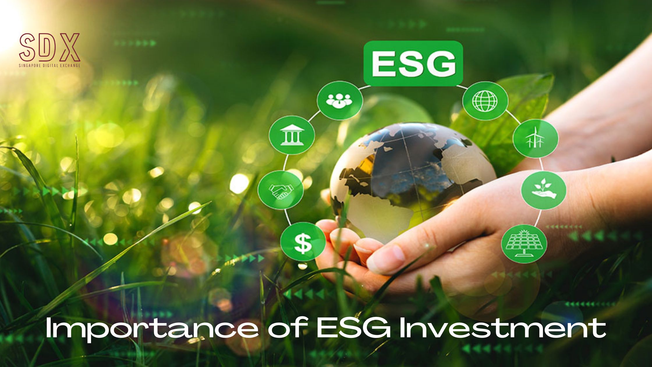 Importance of ESG Investment
