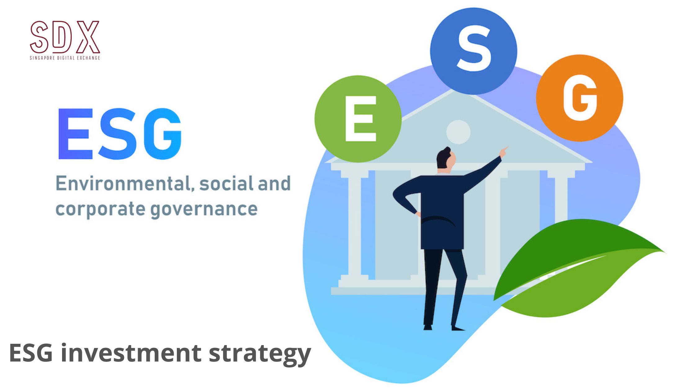 ESG investment strategy