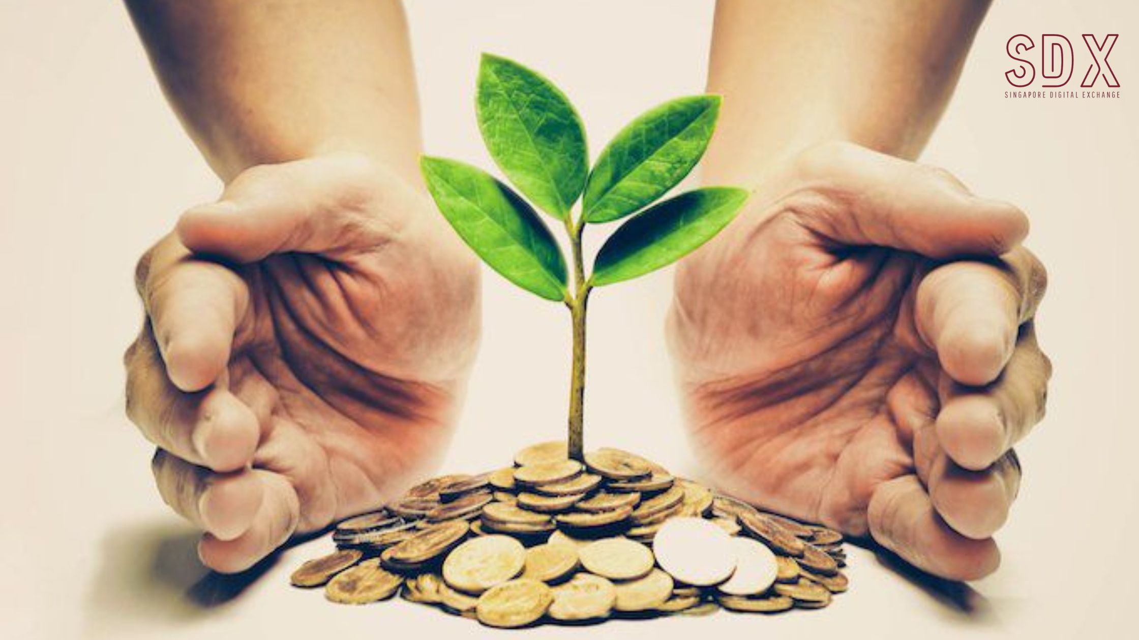 Ethical and Socially Responsible Investing