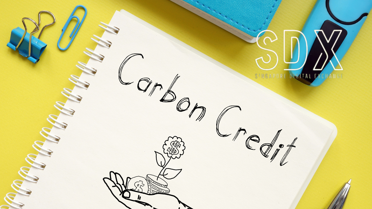 Carbon Credit
